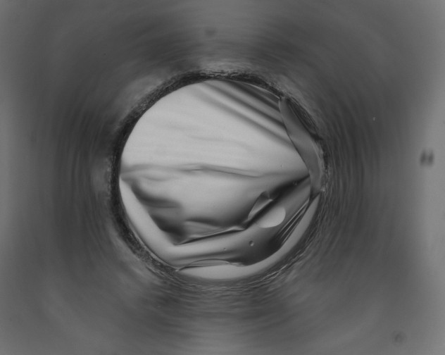 X0000091950448200710041011