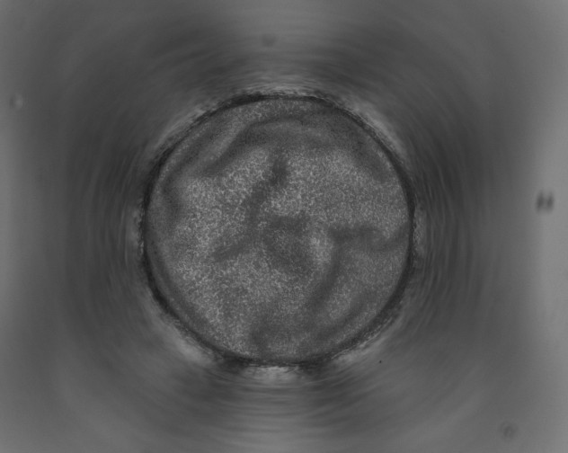 X0000091950449200710041011