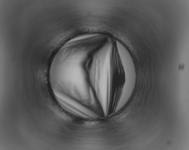 X0000091950450200710041011