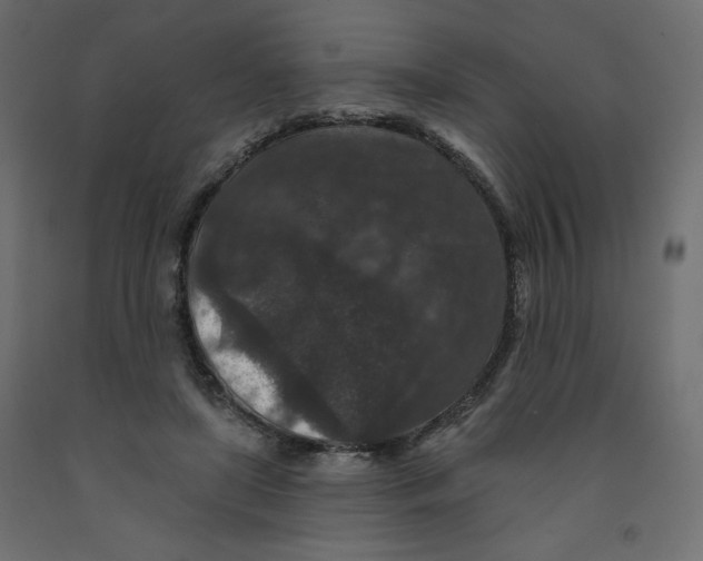 X0000091950451200710041011
