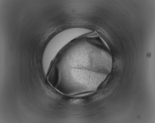 X0000091950452200710041011
