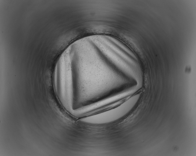 X0000091950453200710041011