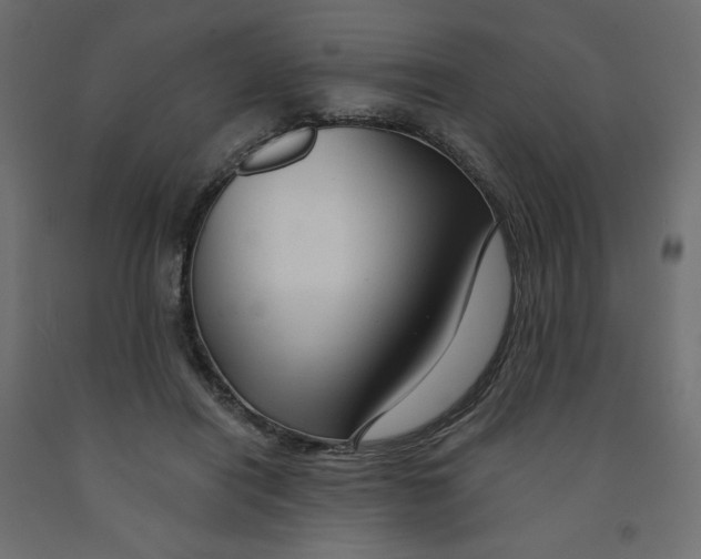 X0000091950454200710041011