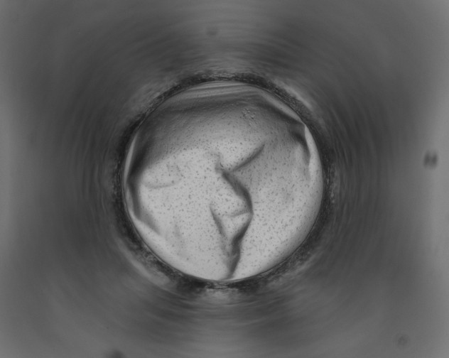 X0000091950455200710041011