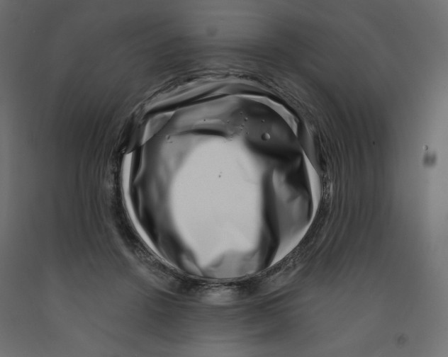 X0000091950456200710041011