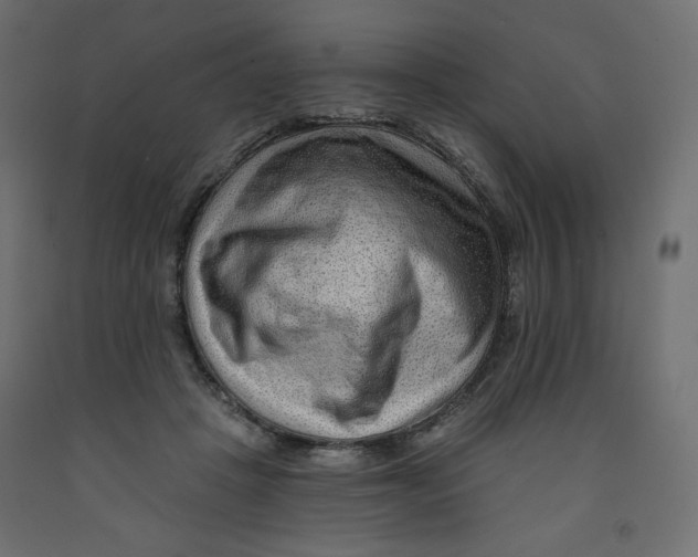 X0000091950457200710041011