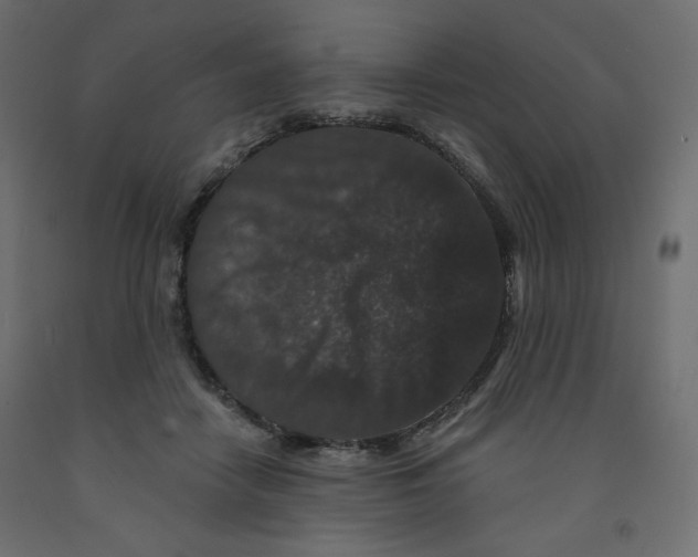 X0000091950458200710041011