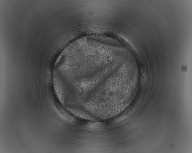 X0000091950459200710041011
