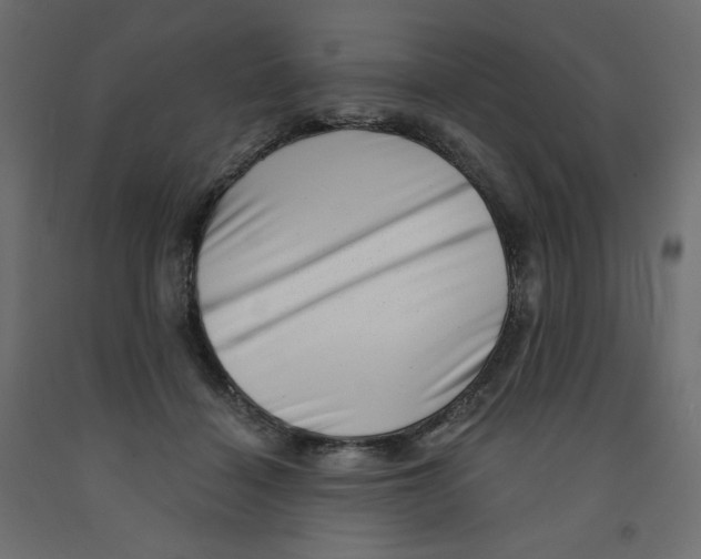 X0000091950460200710041011
