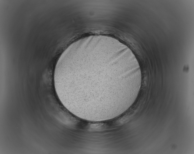 X0000091950461200710041011