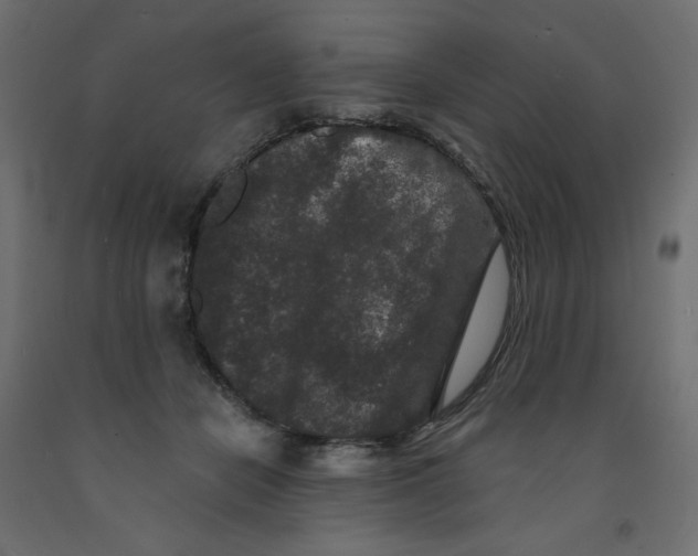 X0000091950462200710041011
