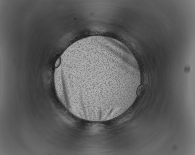 X0000091950463200710041011