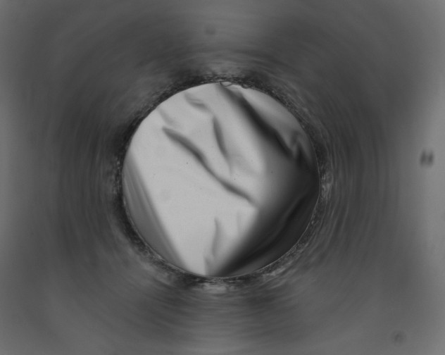 X0000091950464200710041011