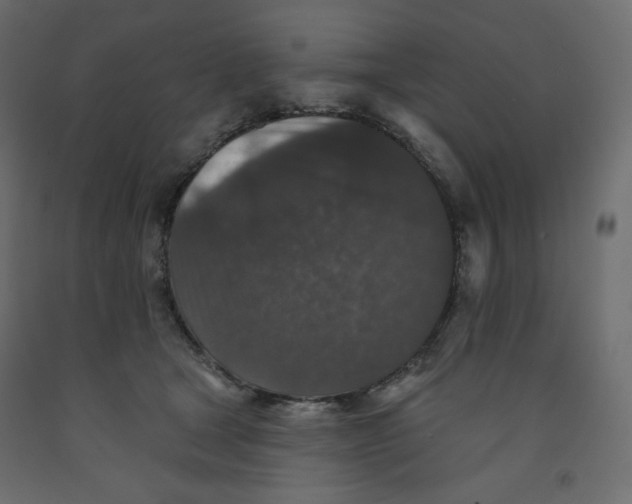 X0000091950465200710041011