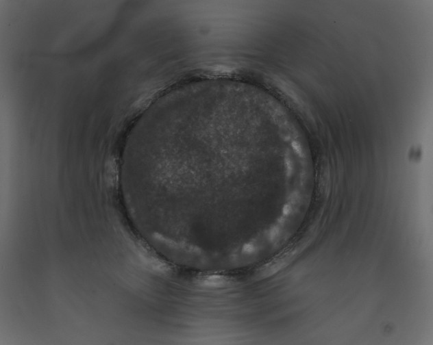 X0000091950467200710041011
