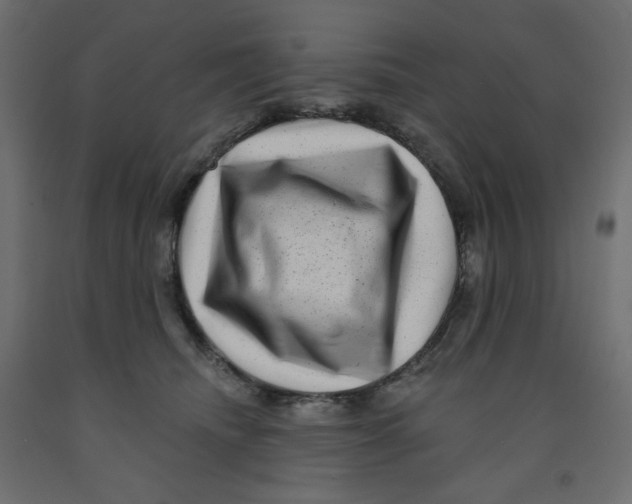 X0000091950468200710041011