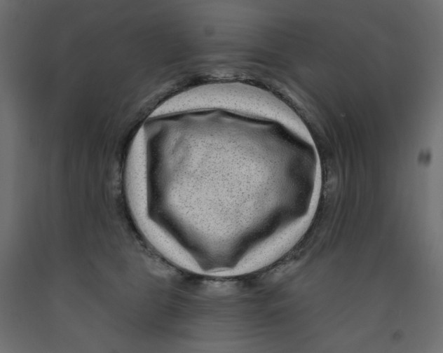 X0000091950469200710041011