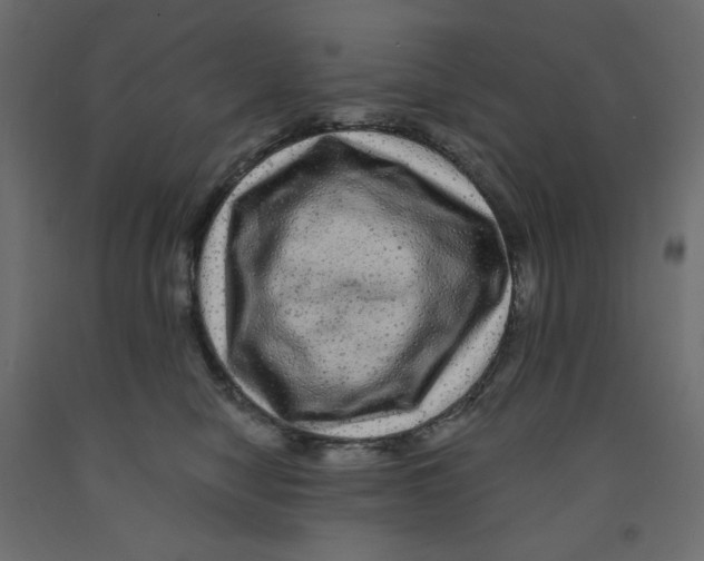X0000091950470200710041011