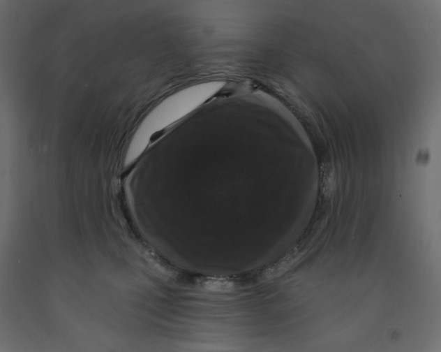 X0000091950471200710041011