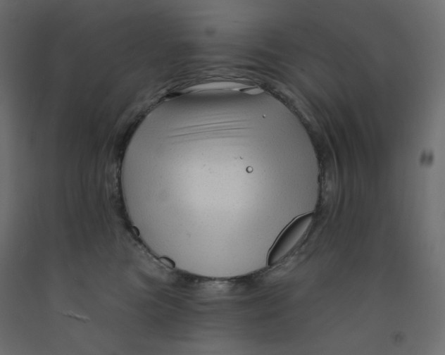 X0000091950473200710041011