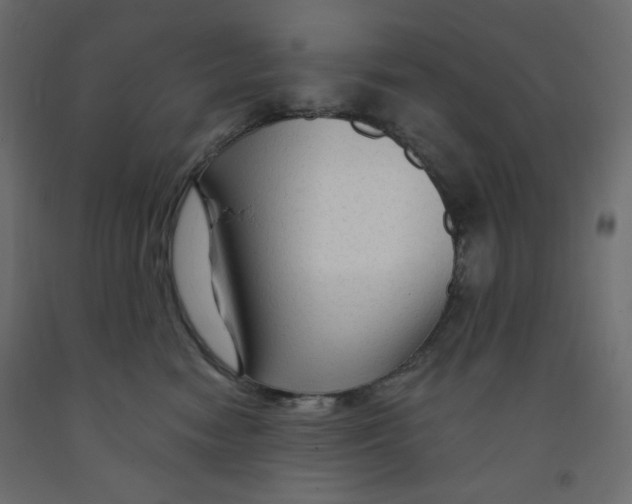 X0000091950474200710041011