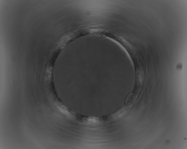 X0000091950475200710041011
