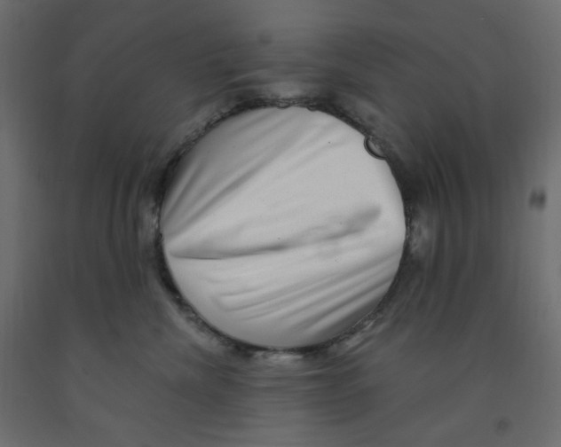 X0000091950476200710041011