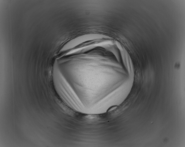X0000091950477200710041011