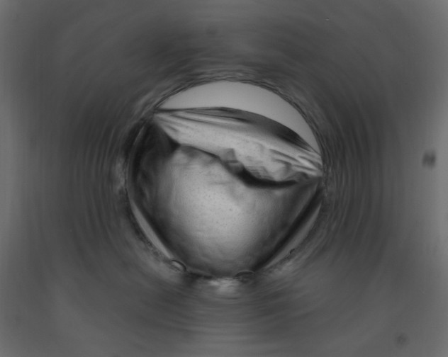 X0000091950478200710041011