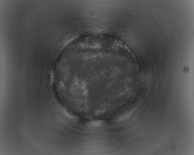 X0000091950479200710041011