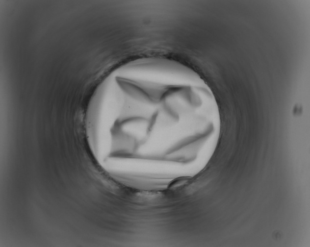 X0000091950480200710041011