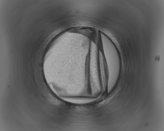 X0000091950481200710041011