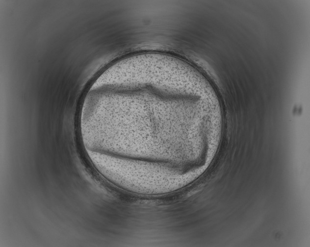 X0000091950482200710041011