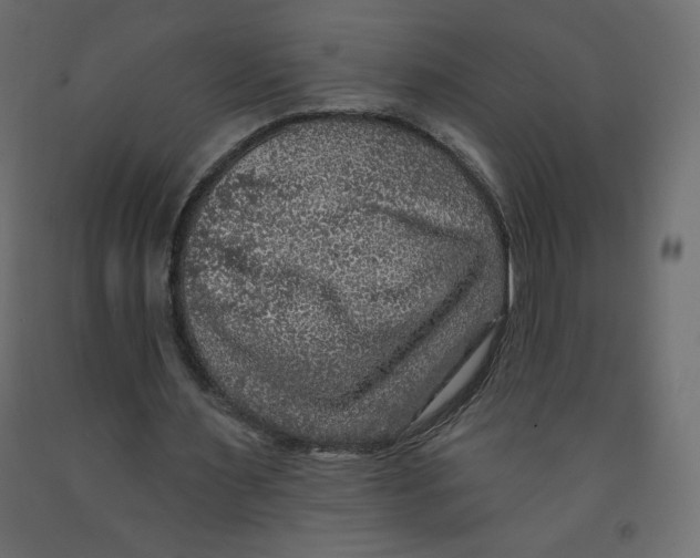 X0000091950483200710041011