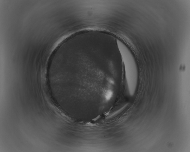 X0000091950484200710041011
