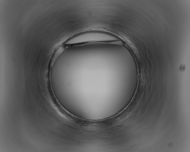 X0000091950485200710041011