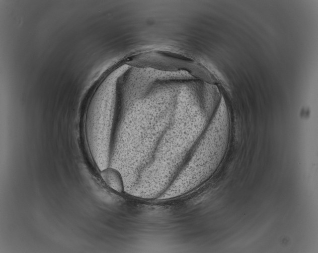 X0000091950486200710041011