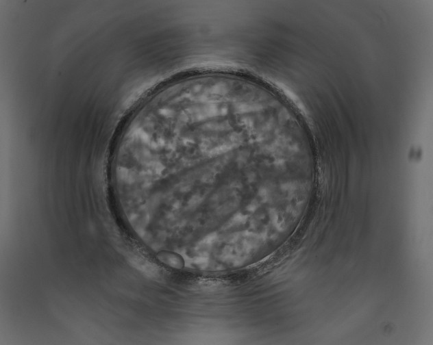 X0000091950487200710041011
