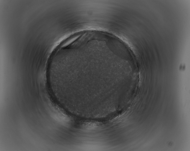 X0000091950488200710041011