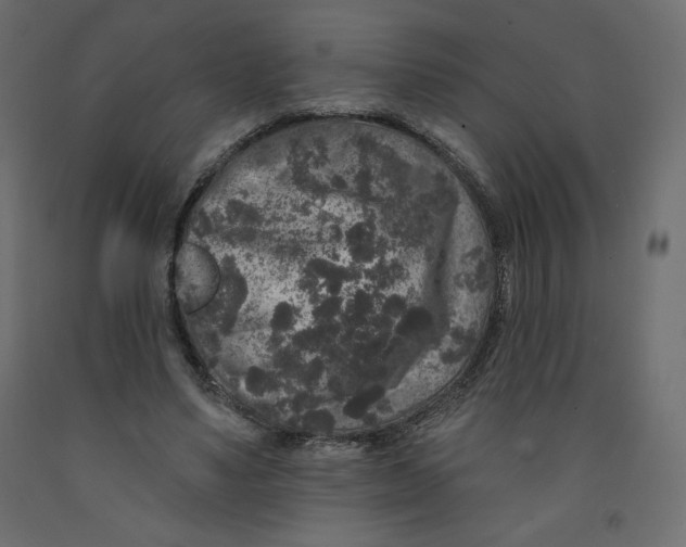 X0000091950491200710041010