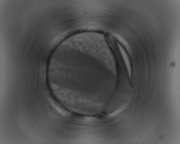 X0000091950493200710041010