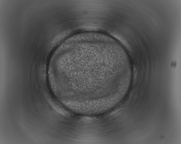X0000091950494200710041010