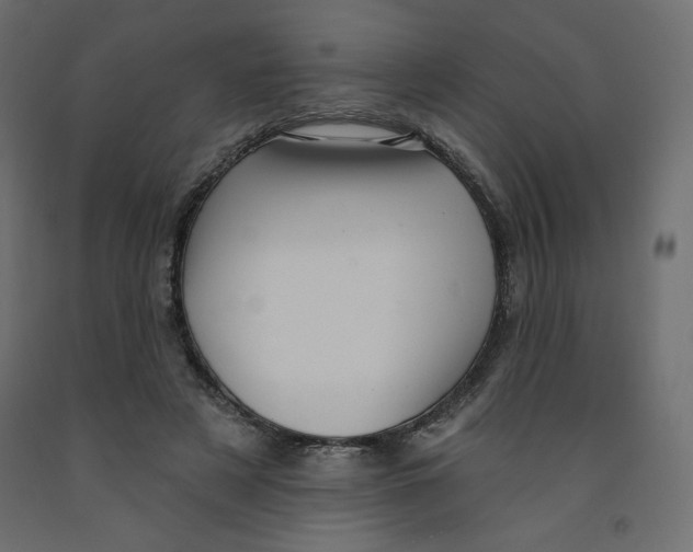 X0000091950497200710041010