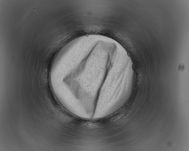 X0000091950498200710041010