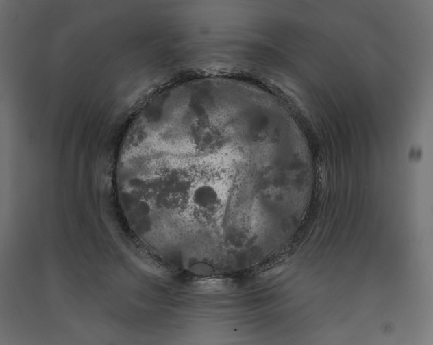X0000091950499200710041010