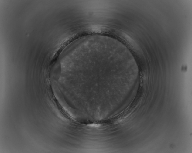 X0000091950500200710041010