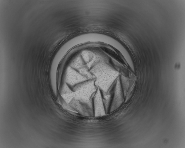 X0000091950501200710041010