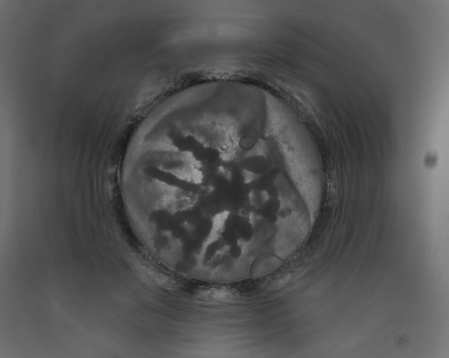 X0000091950503200710041010