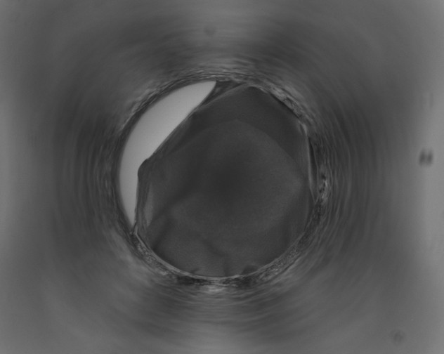 X0000091950504200710041010