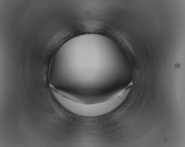 X0000091950505200710041010